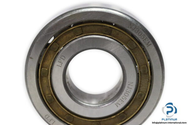lfd-NJ-305-EM-cylindrical-roller-bearing-new-2