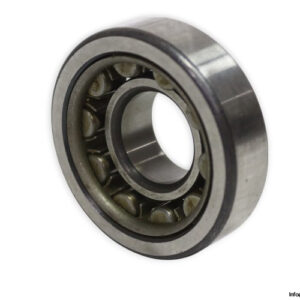 fag-NU-305-cylindrical-roller-bearing-new