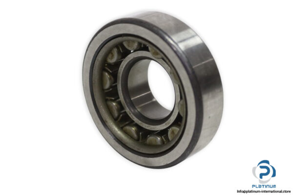 fag-NU-305-cylindrical-roller-bearing-new