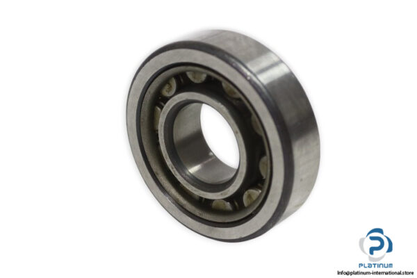 fag-NU-305-cylindrical-roller-bearing-new-1