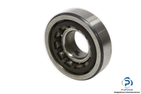 fag-NU-305-E-C3-cylindrical-roller-bearing-new