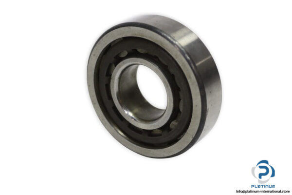 skf-NU-306-cylindrical-roller-bearing-new