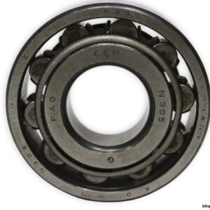 fag-N-305-cylindrical-roller-bearing-new-1