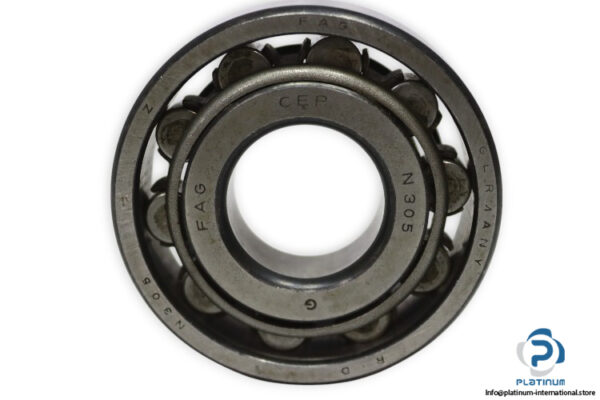 fag-N-305-cylindrical-roller-bearing-new-1