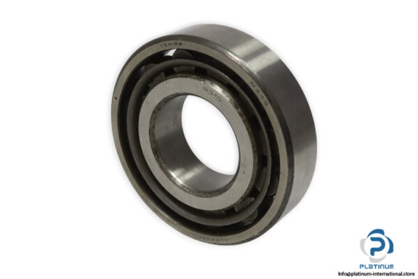 femina-N-310-cylindrical-roller-bearing-new