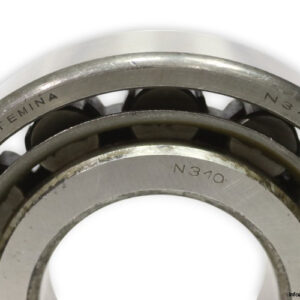 femina-N-310-cylindrical-roller-bearing-new-1