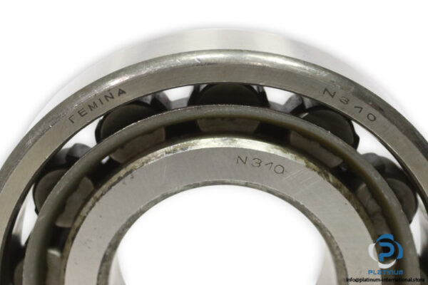 femina-N-310-cylindrical-roller-bearing-new-1
