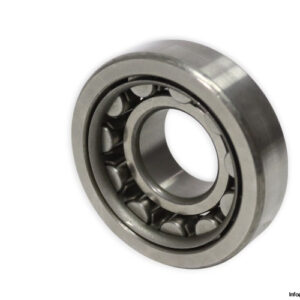 nsk-NU-306-cylindrical-roller-bearing-new