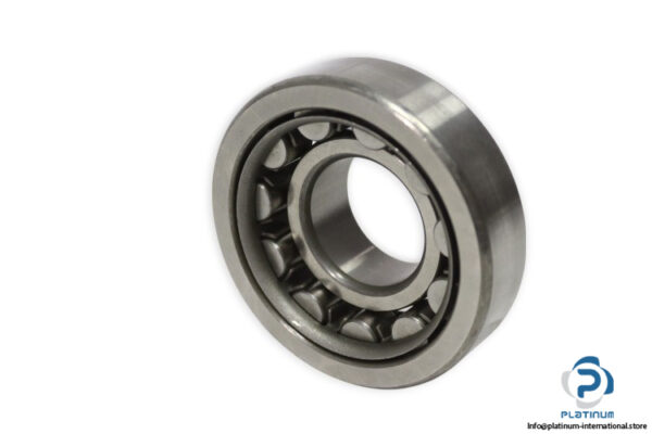nsk-NU-306-cylindrical-roller-bearing-new
