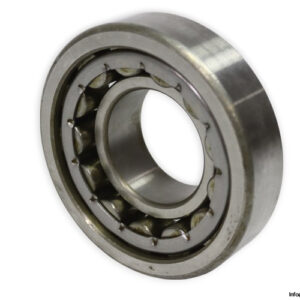 dkfddr-NU-310-E-P6-cylindrical-roller-bearing-new-withsnapring