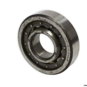 riv-6DB-P-cylindrical-roller-bearing-used