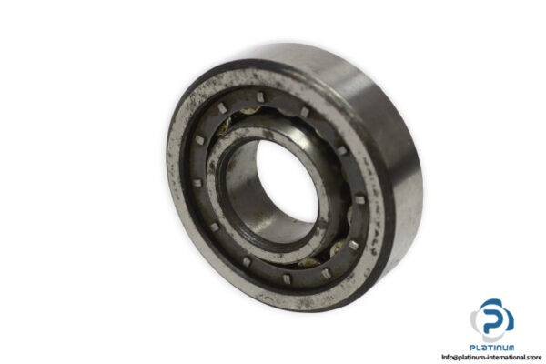riv-6DB-P-cylindrical-roller-bearing-used