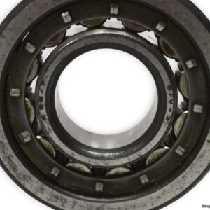 riv-6DB-P-cylindrical-roller-bearing-used-1