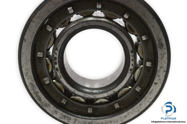 riv-6DB-P-cylindrical-roller-bearing-used-1