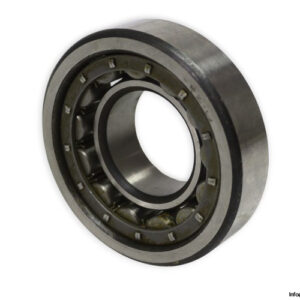 riv-10DBV_P-cylindrical-roller-bearing-new