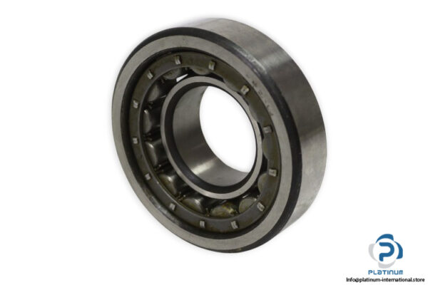riv-10DBV_P-cylindrical-roller-bearing-new