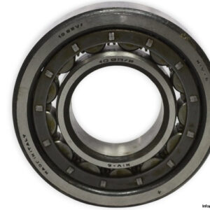 riv-10DBV_P-cylindrical-roller-bearing-new-1