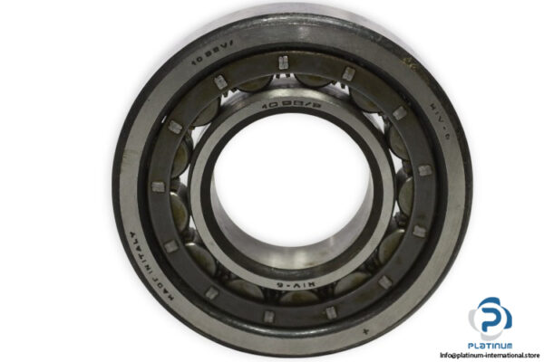 riv-10DBV_P-cylindrical-roller-bearing-new-1