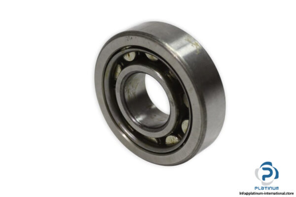skf-NU-305-cylindrical-roller-bearing-new-1