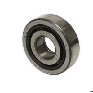 dkfddr-NUP-304-cylindrical-roller-bearing-new