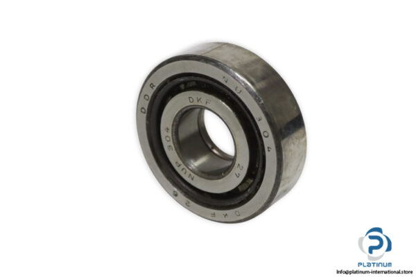 dkfddr-NUP-304-cylindrical-roller-bearing-new
