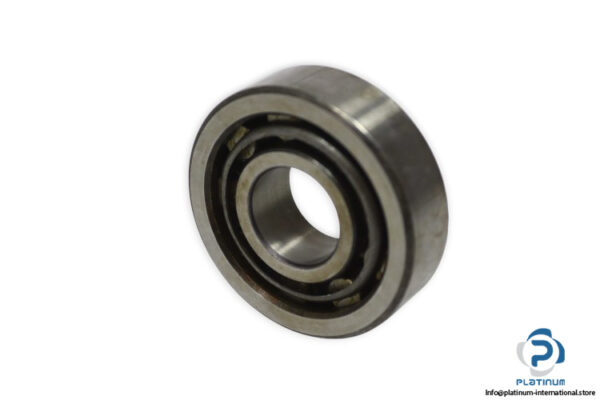 dkfddr-NJ-304-cylindrical-roller-bearing-new