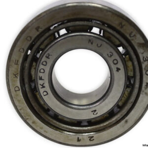 dkfddr-NJ-304-cylindrical-roller-bearing-new-1