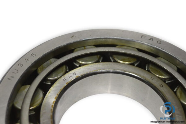 fag-NUP-315-cylindrical-roller-bearing-new-1