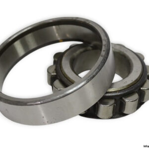 femina-N-310-cylindrical-roller-bearing-used