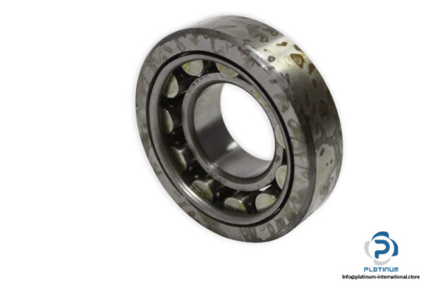 nwg-NJ-309-cylindrical-roller-bearing-new