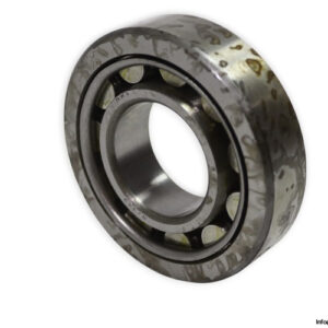 nwg-NJ-309-cylindrical-roller-bearing-new-1