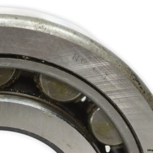 wfr-NUP-313-cylindrical-roller-bearing-new-1