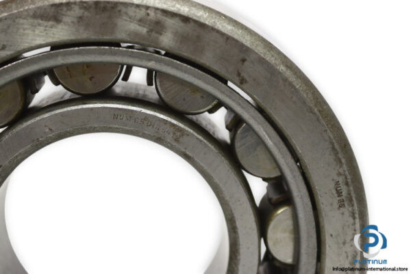 dwb-NUM-65-DIN-5412-roller-bearing-used-2