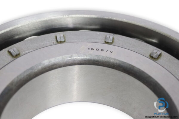 riv-16DB_V-cylindrical-roller-bearing-new-1