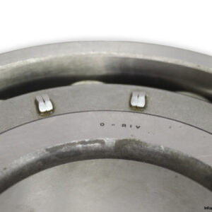 riv-16DB_V-cylindrical-roller-bearing-new-2