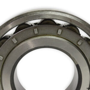 riv-16DB_V-cylindrical-roller-bearing-new-3