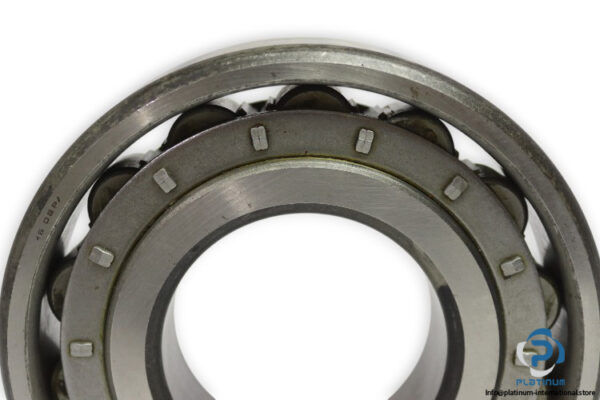 riv-16DB_V-cylindrical-roller-bearing-new-3