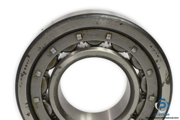 riv-12DB_P-cylindrical-roller-bearing-used-1