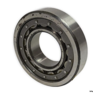 riv-12DB_P-cylindrical-roller-bearing-used-2