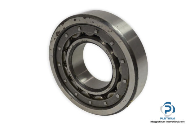 riv-12DB_P-cylindrical-roller-bearing-used-2