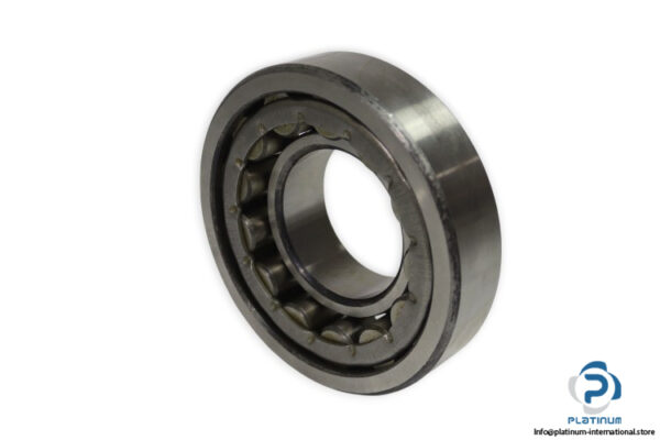urb-NJ-313-E-cylindrical-roller-bearing-new