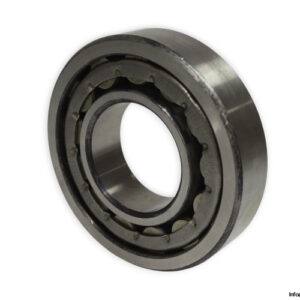 urb-NJ-313-E-cylindrical-roller-bearing-new-1