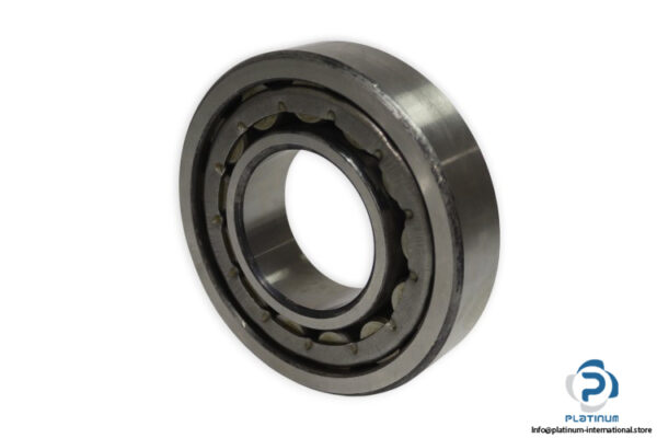 urb-NJ-313-E-cylindrical-roller-bearing-new-1