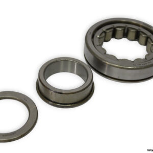 dkfddr-NUP-311-EN-P6-cylindrical-roller-bearing-new