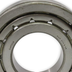 dkfddr-NUP-311-EN-P6-cylindrical-roller-bearing-new-2