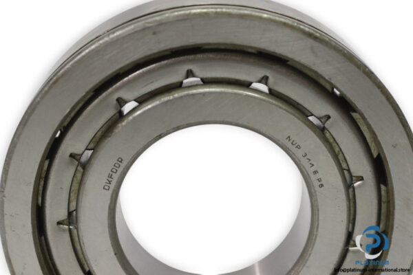dkfddr-NUP-311-EN-P6-cylindrical-roller-bearing-new-2