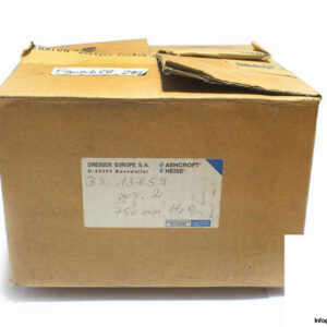 ashcroft-lddn4jjv25-xk3pkta-diaphragm-piston-cylinder-pressure-switch-2