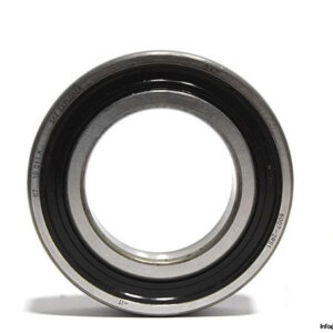 skf-6007-2rs1-deep-groove-ball-bearing-1