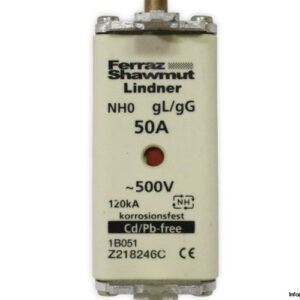 ferraz-shawmut-Z218246C-fuse-link-(new)-1