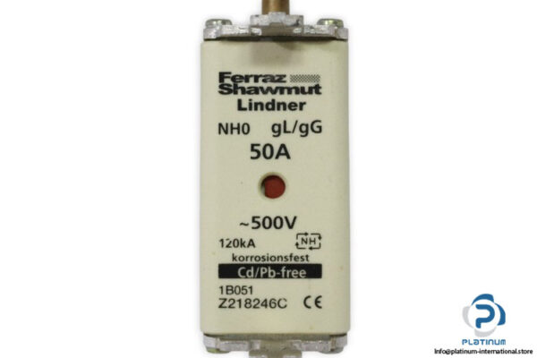 ferraz-shawmut-Z218246C-fuse-link-(new)-1
